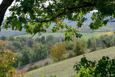 Scenic view of landscape