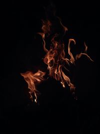 Close-up of fire against black background