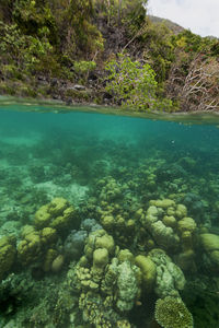 Scenic view of sea and rocks