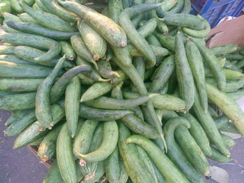 High angle view of sponge gourds on wicker basket for sale at street market