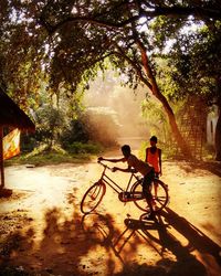 Silhouette of man with bicycle on tree