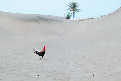 Scenic view of desert against sky