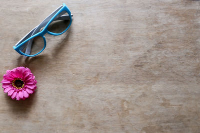 High angle view of pink flower on table