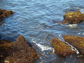 Waves splashing in sea