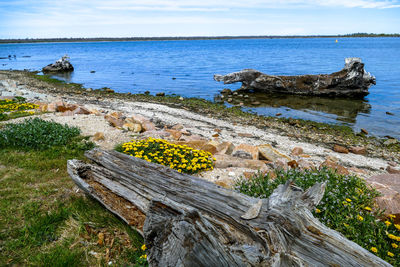 Scenic view of sea against sky