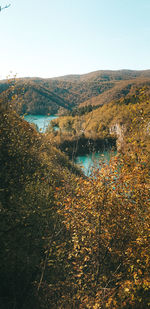Scenic view of river against clear sky