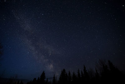 Low angle view of silhouette trees against star field at night