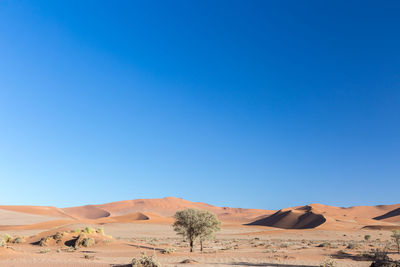 Scenic view of desert against clear blue sky