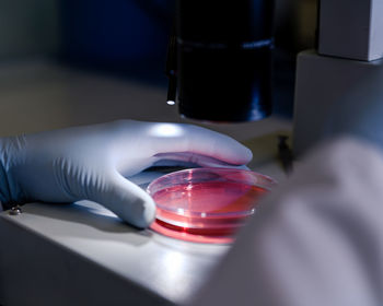 Cropped hand of scientist holding petri dish on table