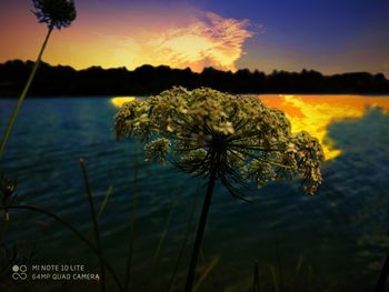 Scenic view of lake against sky at sunset