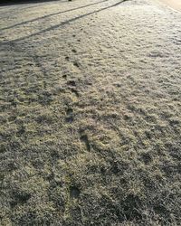 High angle view of tire tracks on sand