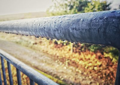 Close-up of metal fence against plants