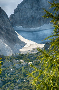 Scenic view of snow covered land