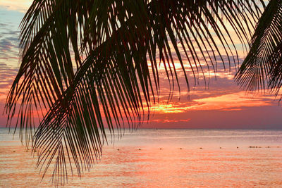 Scenic view of sea at sunset