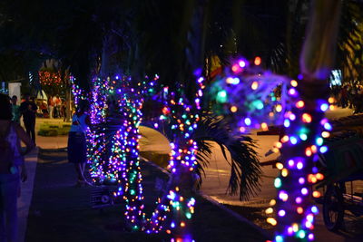 Illuminated christmas tree at night