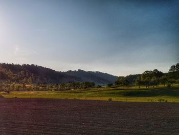Scenic view of field against sky