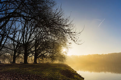 Scenic view of tree against sky during sunset