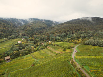 landscape