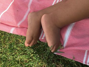 Low section of girl on grass