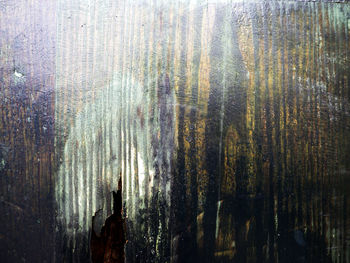 Full frame shot of tree trunk