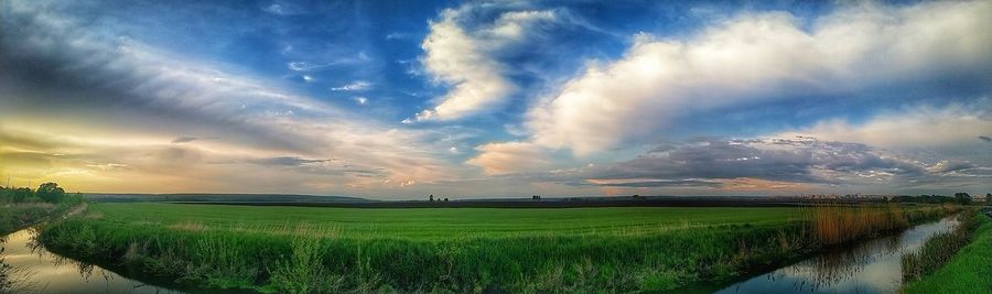 Scenic view of agricultural field against sky