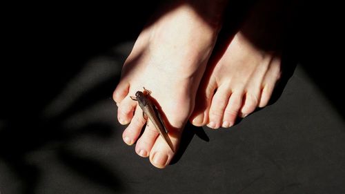 Close-up of hand holding hands over black background