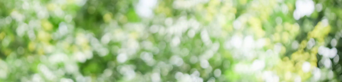 Full frame shot of plants on field