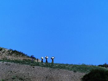 View of horse on field against clear blue sky