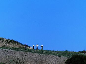 Photo of village women carrying headloads of grasses from chambal riverside  rajasthan. 