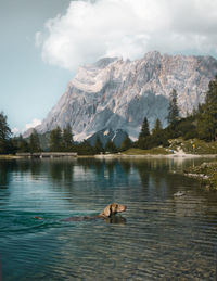 Scenic view of lake against mountain range