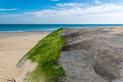 Scenic view of beach against blue sky