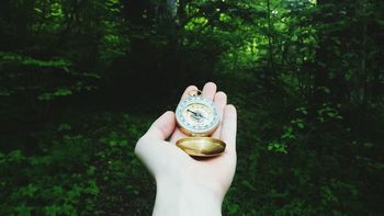 Cropped hand with navigational compass against trees in forest
