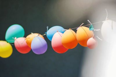 Close-up of multi colored balloons