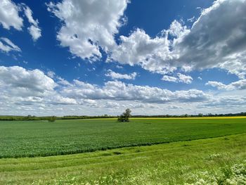 Scenic view of field against sky