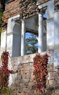 Flowering plants against old wall and building