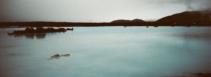Birds on beach against sky