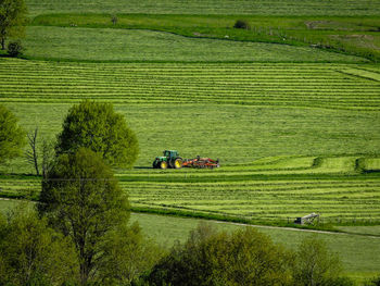 High angle view of agricultural field