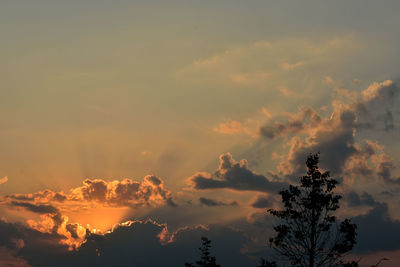 Low angle view of silhouette trees against sky during sunset