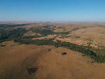 Scenic view of field against clear blue sky