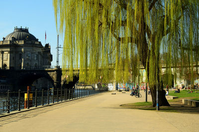 Panoramic shot of trees in city against sky