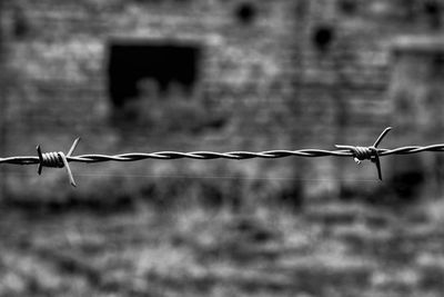 Close-up of barbed wire