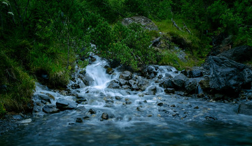 Scenic view of stream flowing through rocks in forest