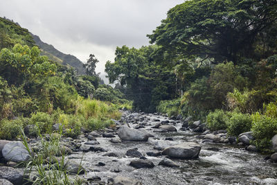 Iao stream in maui, hawaii