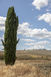 Scenic view of land against sky