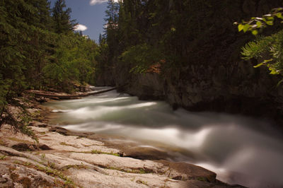 River flowing through rocks in forest