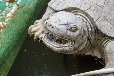 Close-up of animal sculpture