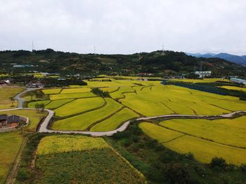 High angle view of agricultural field against sky