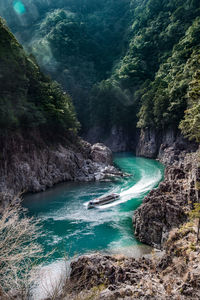 Scenic view of waterfall in forest