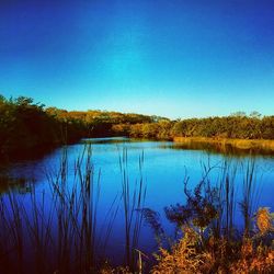 Calm lake with trees in background