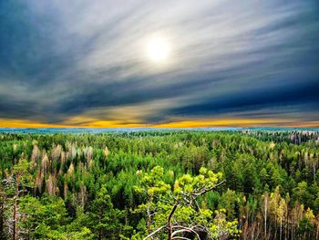 Scenic view of field against cloudy sky